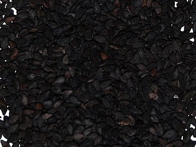 Black Sesame