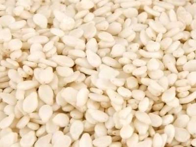 White Sesame