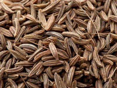 Spices