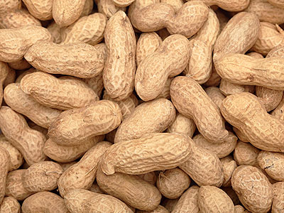 Groundnut Inshell
