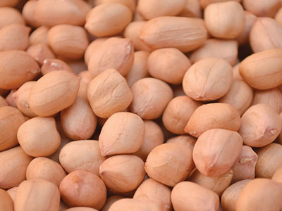 Java Peanut